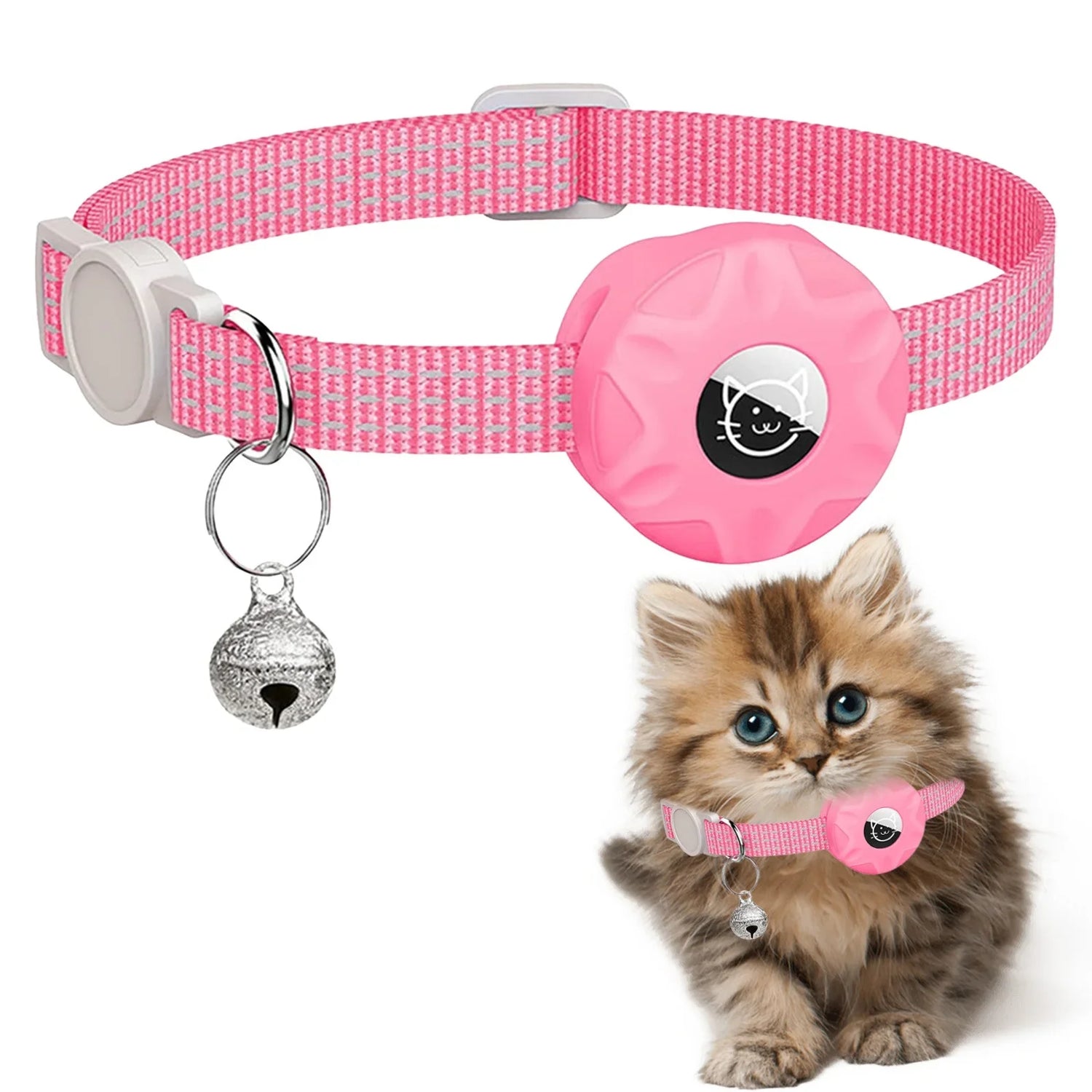 Cat GPS Collars