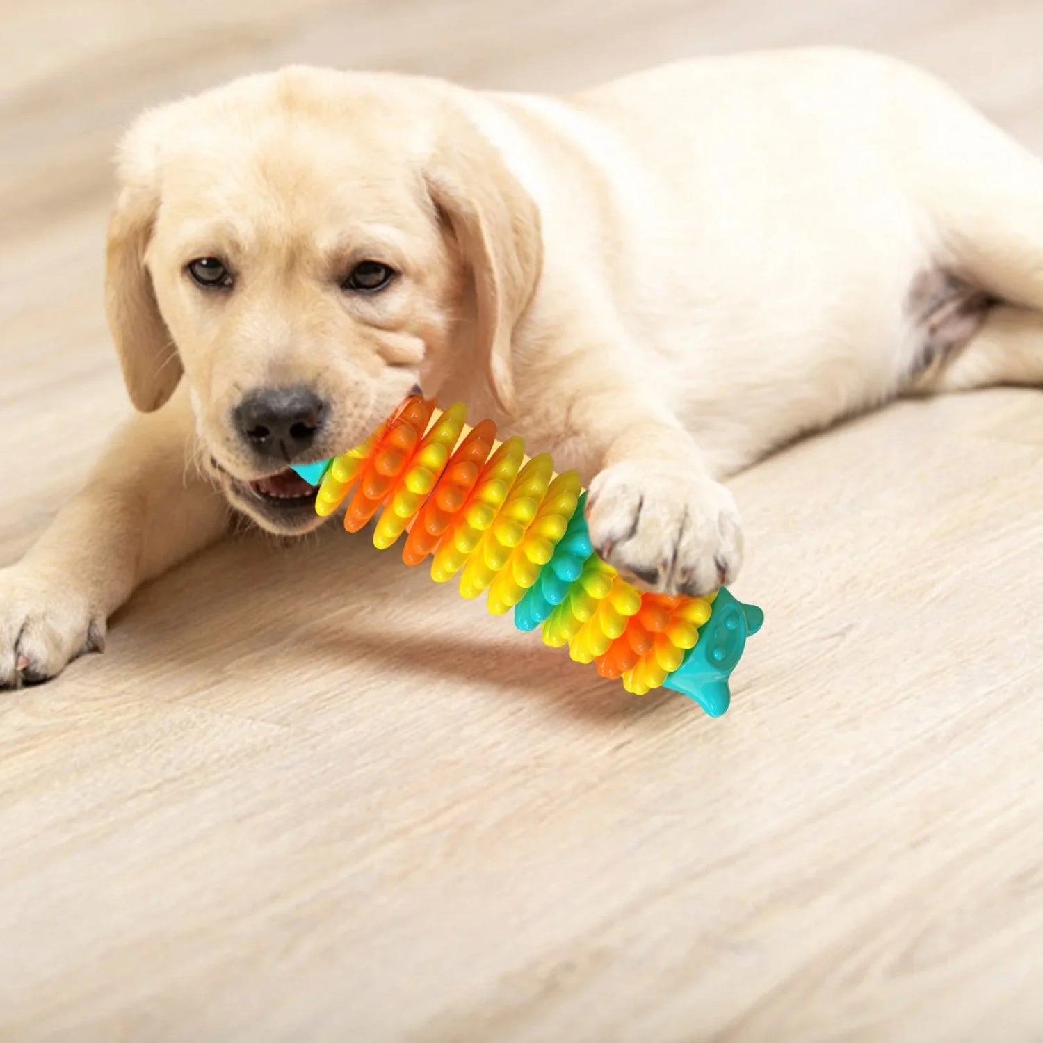 Dog Dental Toys