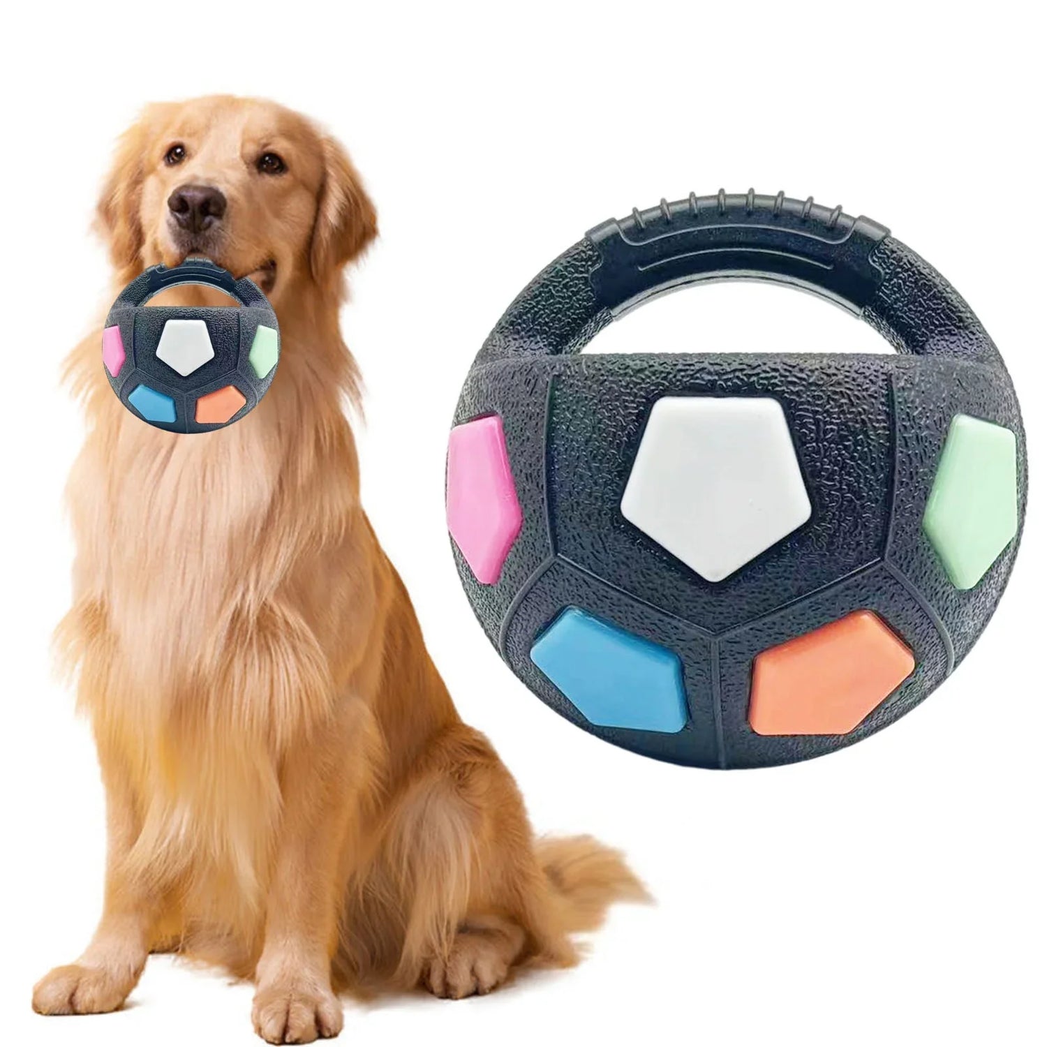 Dog Fetch & Outdoor Toys