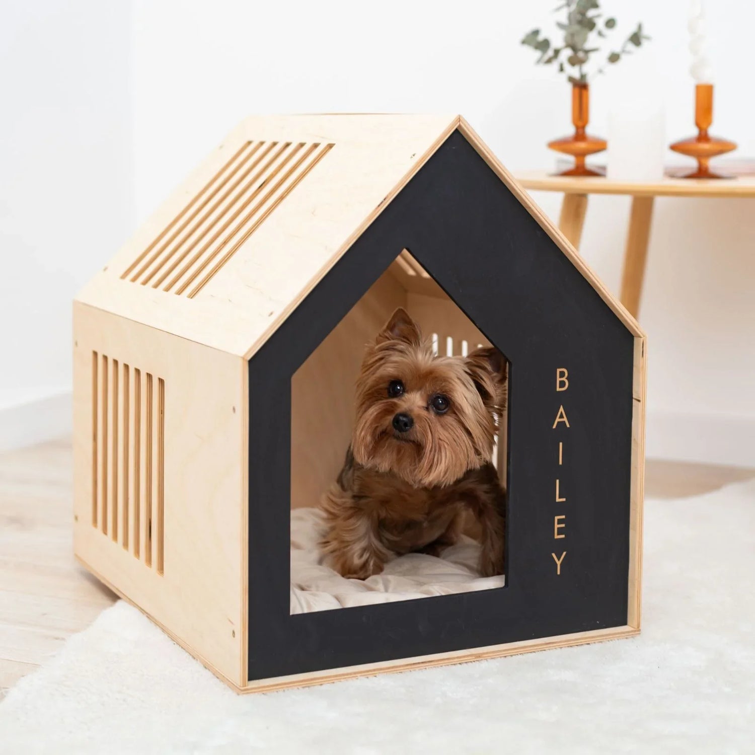 Indoor Dog Houses/Crates