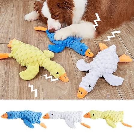 Dog Plush & Squeaky Toys