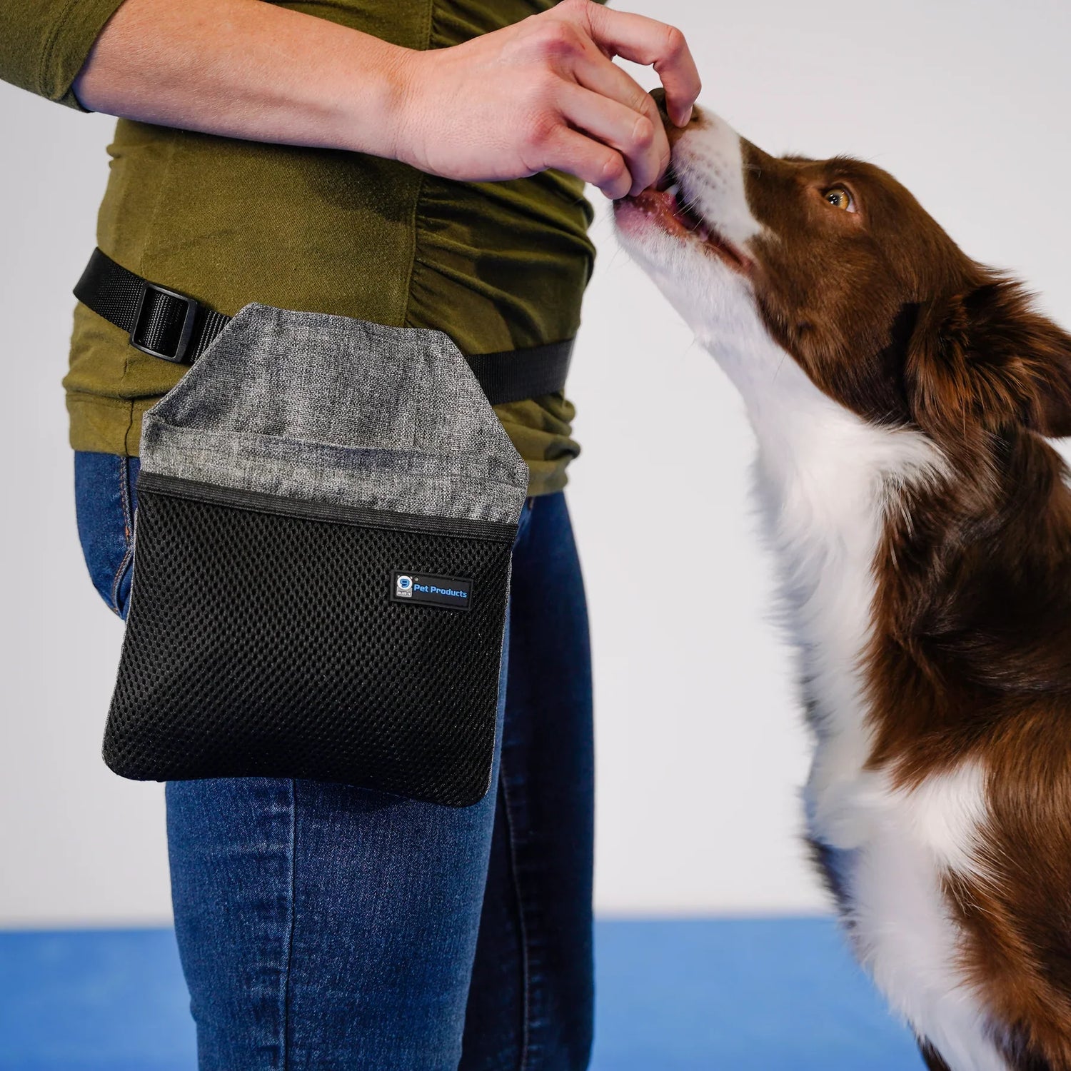 Training, Grooming & Misc Pet Supplies