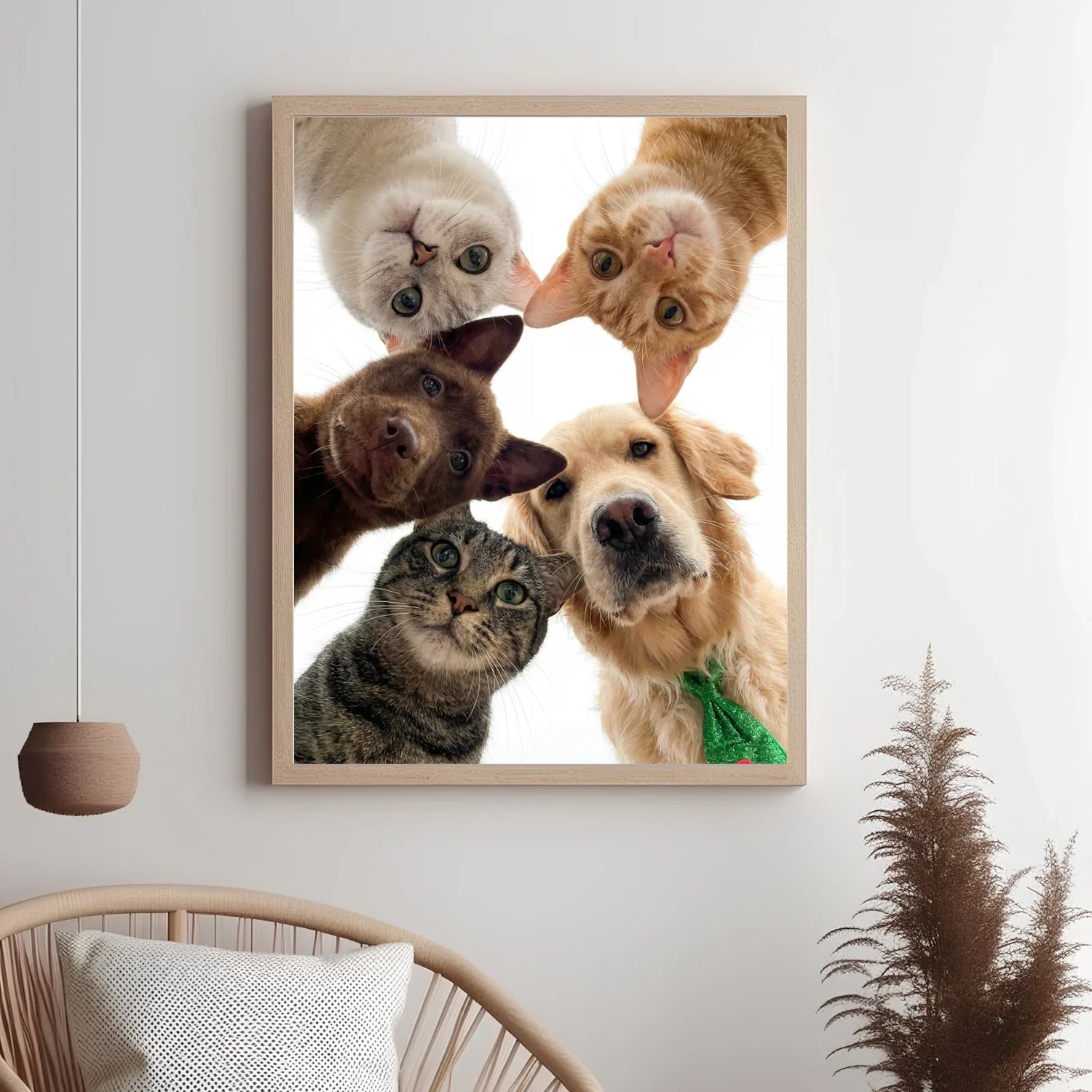 MIsc Dog & Cat Supplies