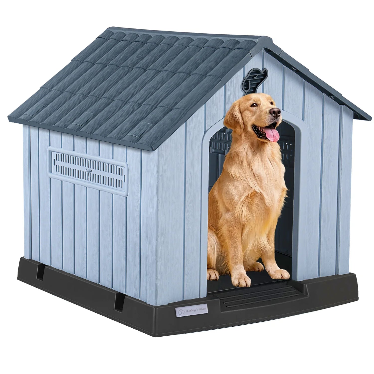Outdoor Dog Houses/Fencing