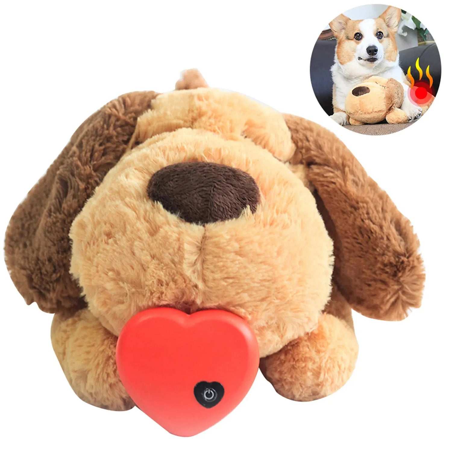 Pet Anxiety Aids