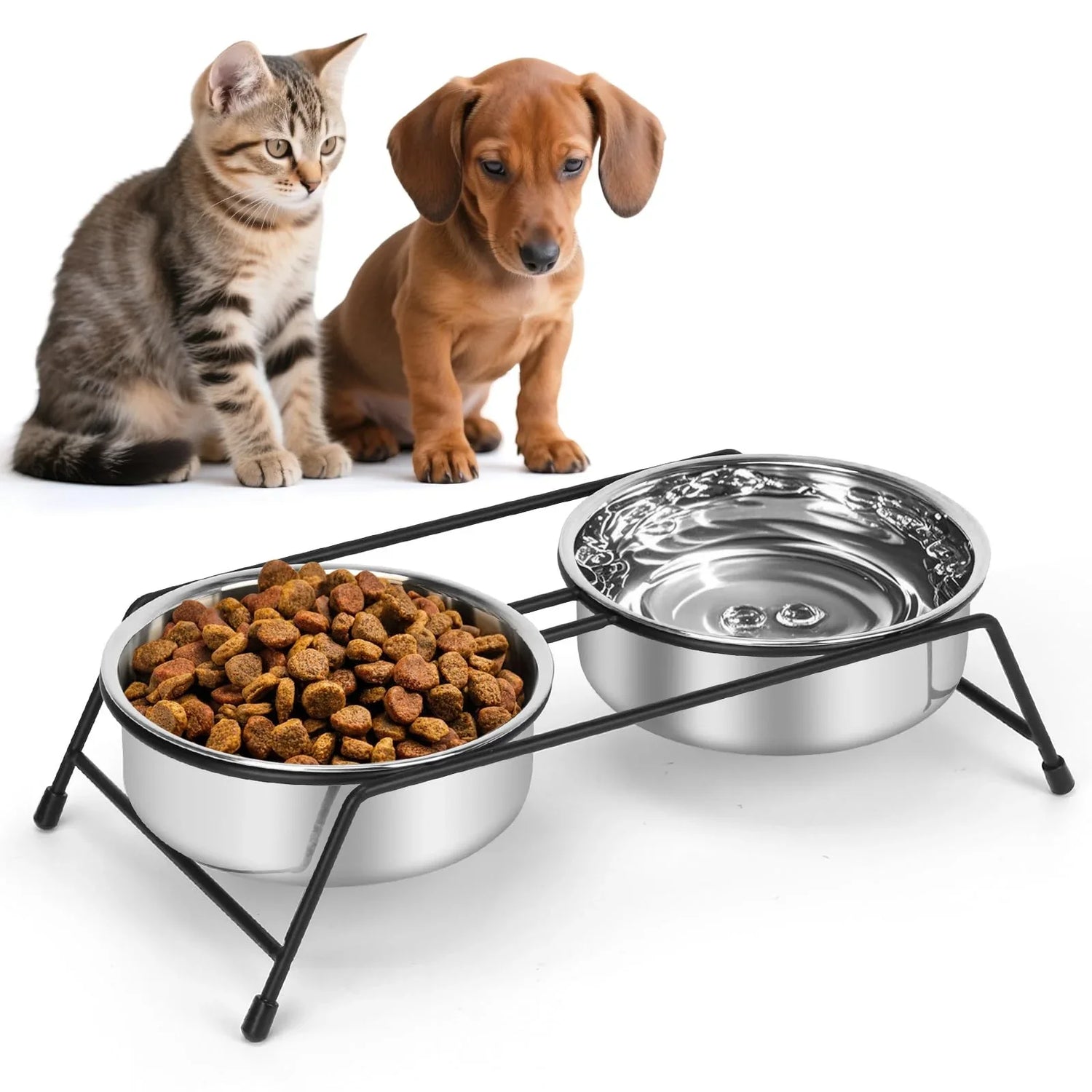 Pet Food & Water Bowls