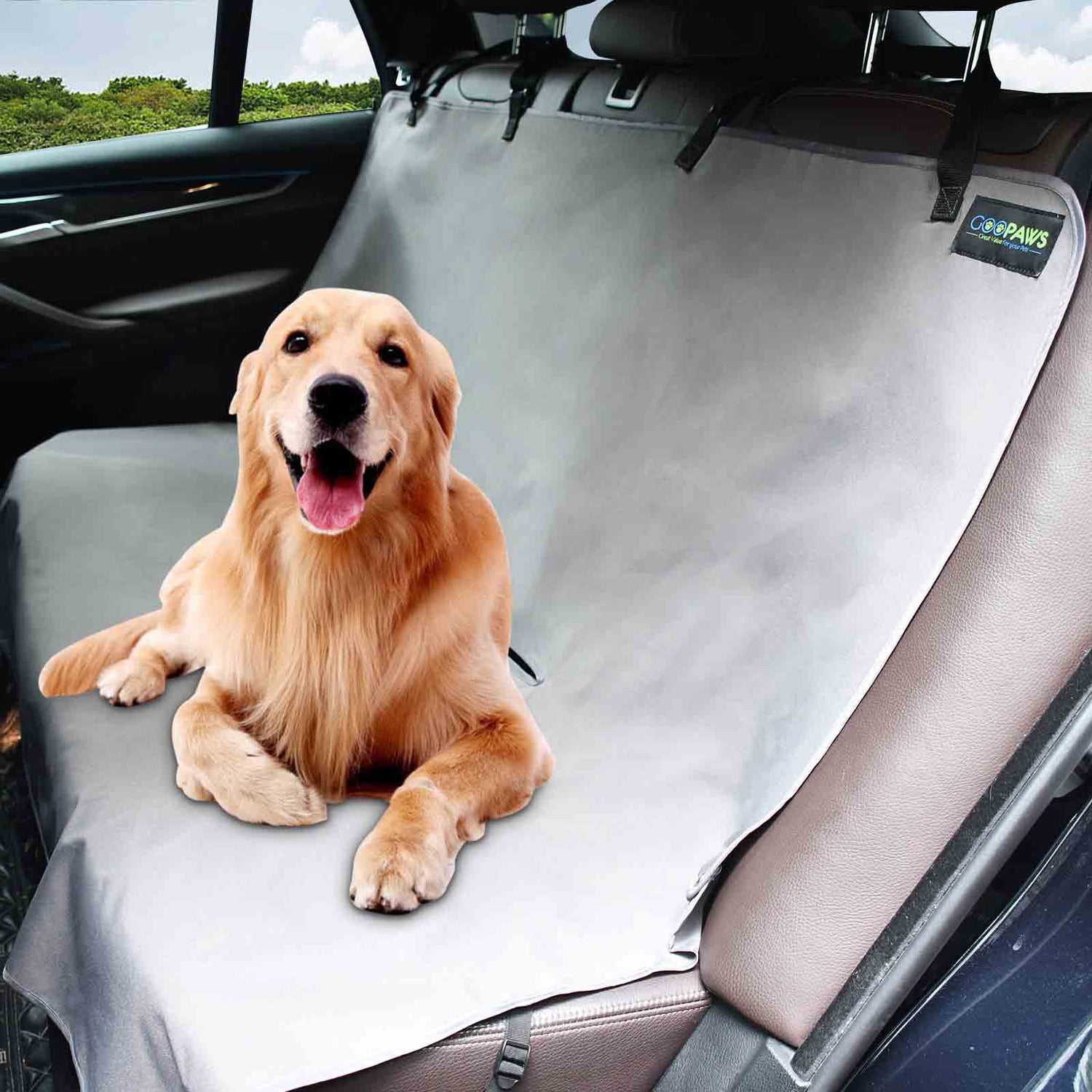 Pet Travel Accesories