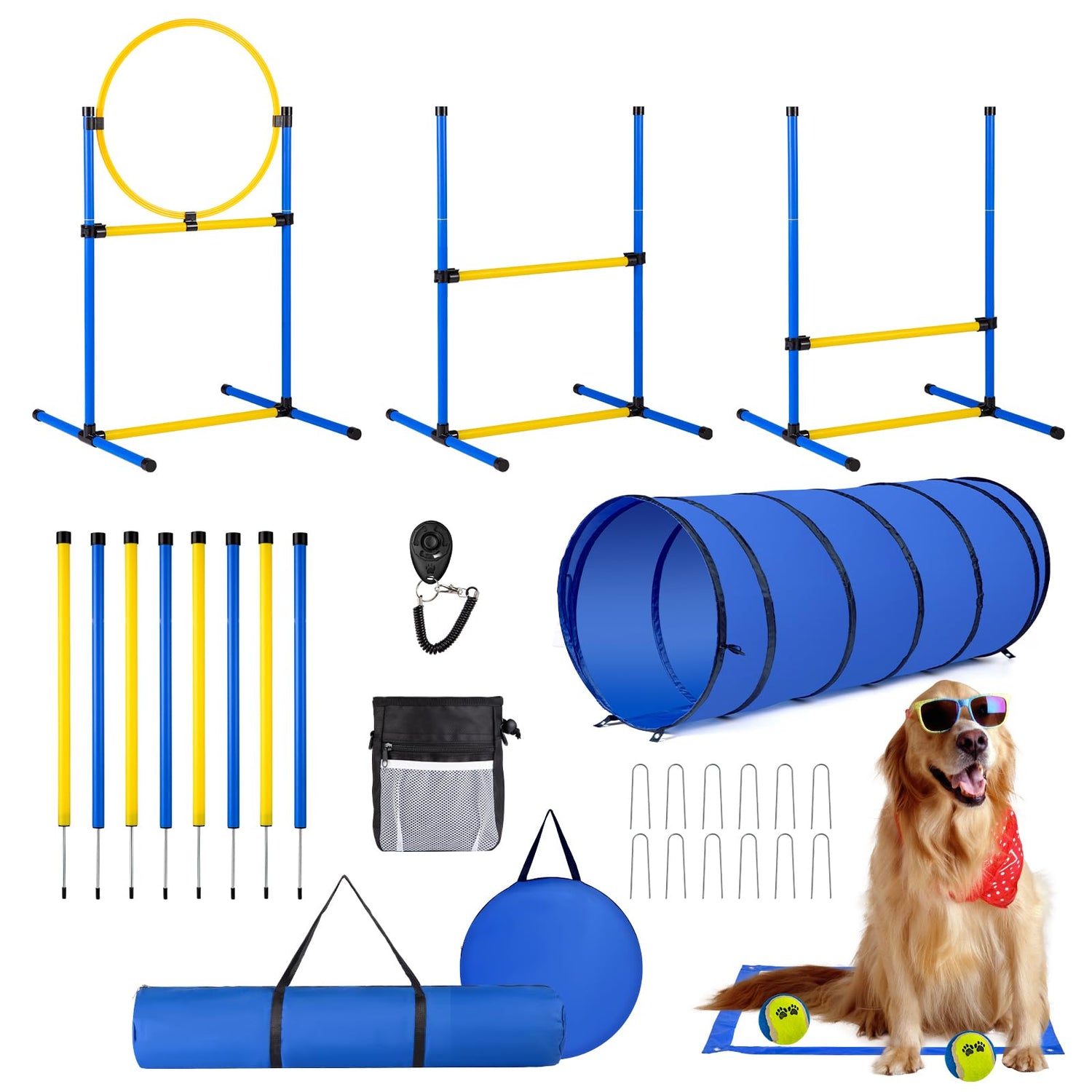 Sport & Agility Equipment