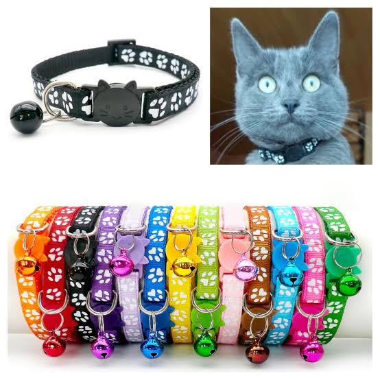 Cat Collars