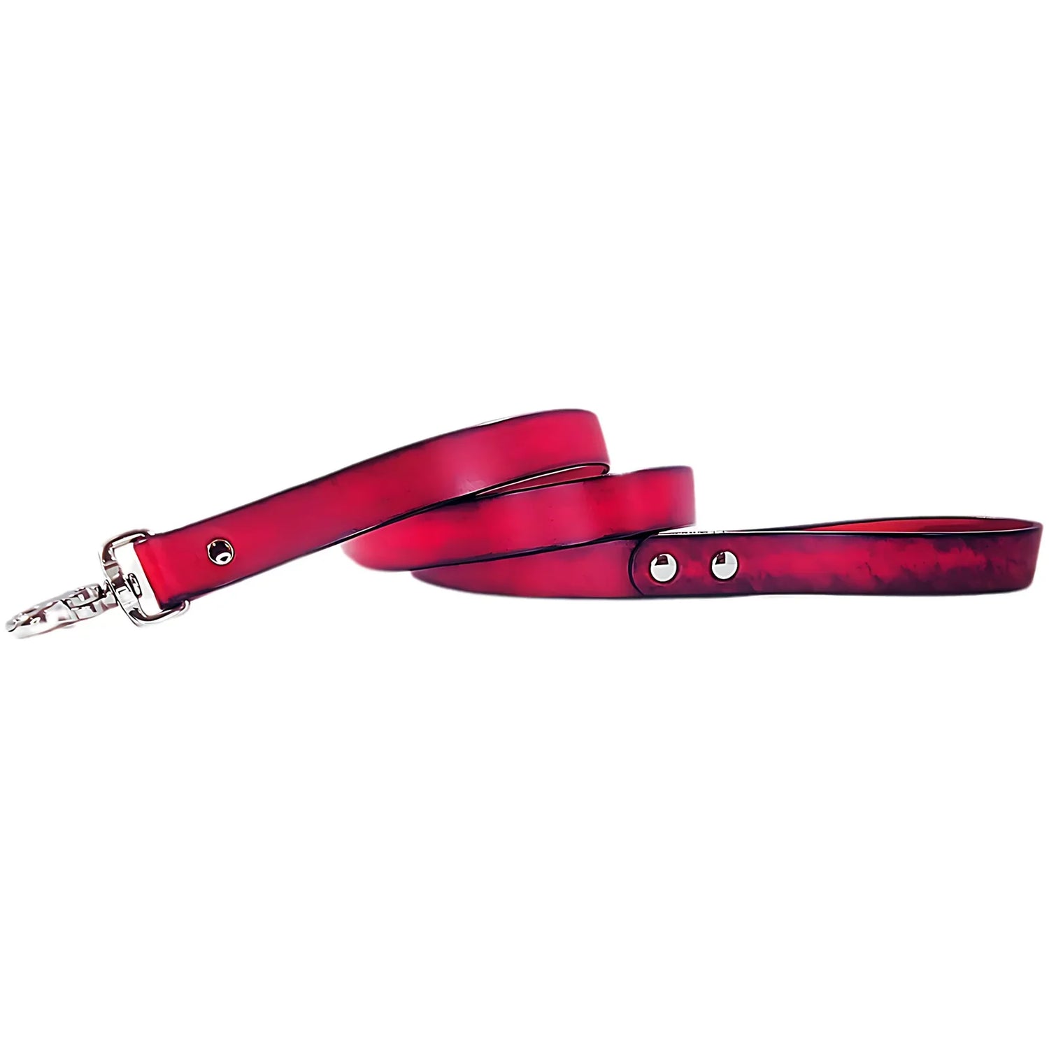 Pet Leashes