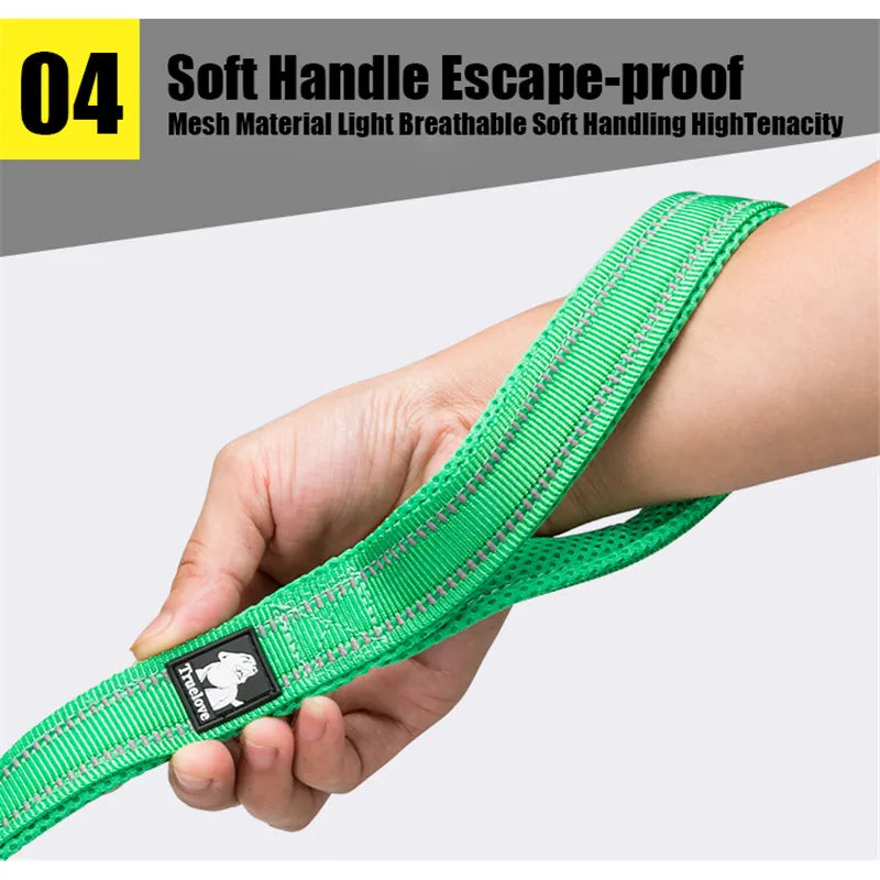 Soft Pet Leash Reflective Nylon Mesh Padded Puppy Large Dog or Cat Walking Training 11 Color