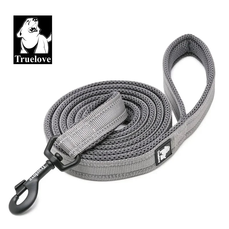 Soft Pet Leash Reflective Nylon Mesh Padded Puppy Large Dog or Cat Walking Training 11 Color